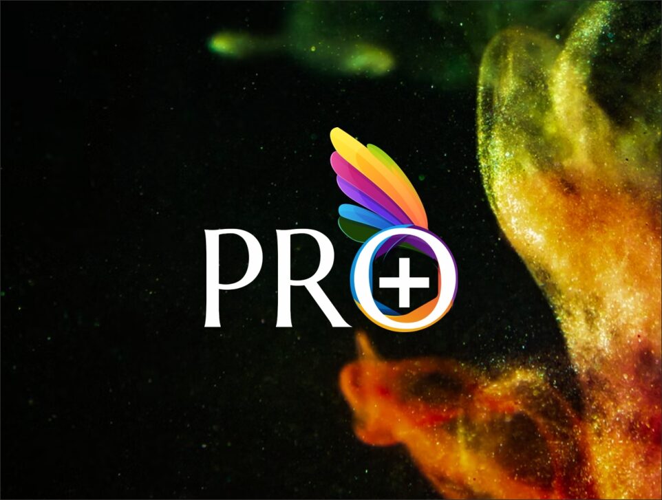 pro+ Logo